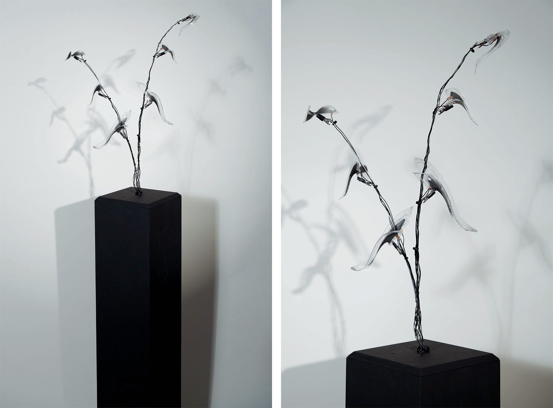 Manufactured Nature
