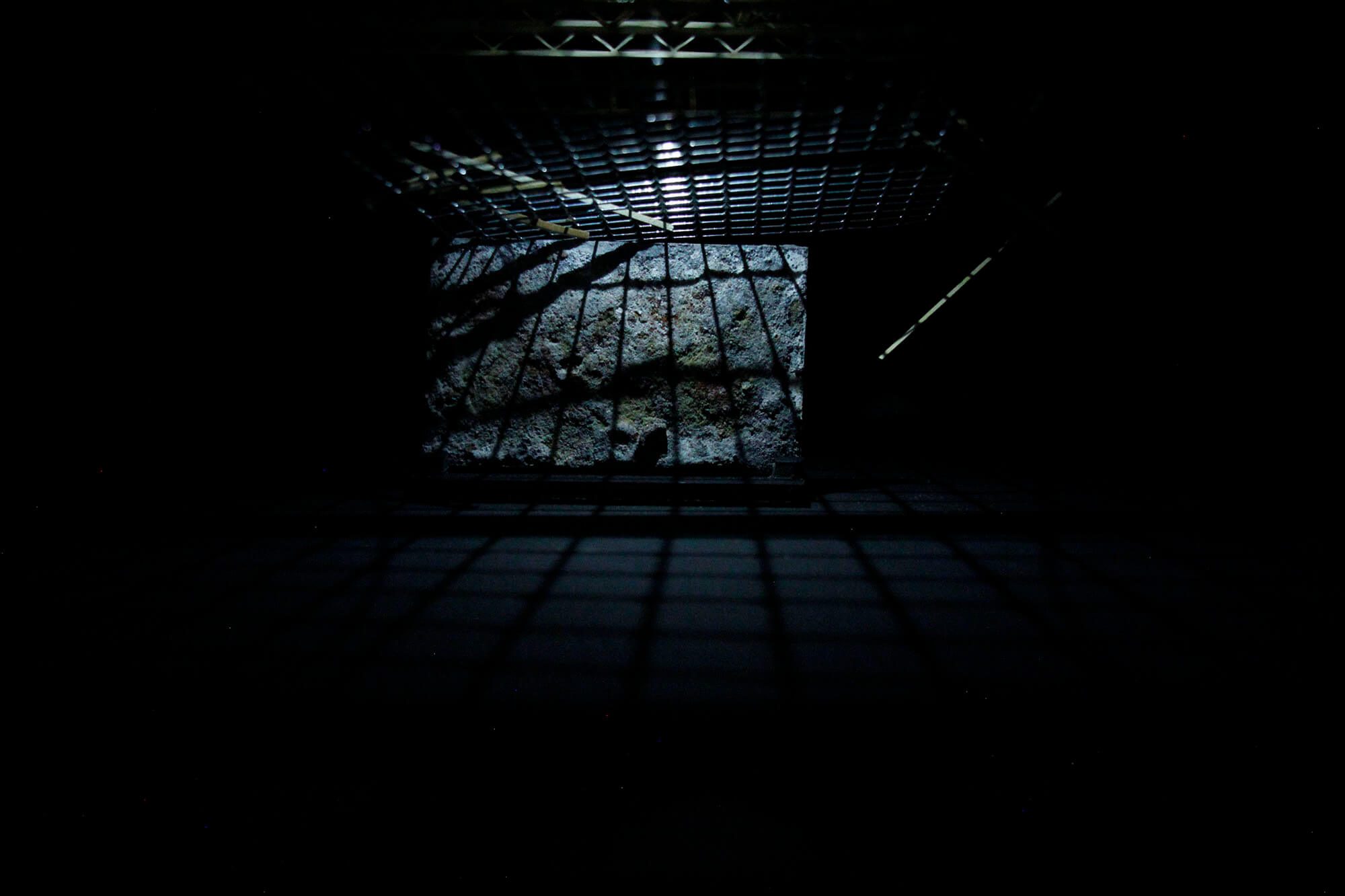 Re / Aktiv – Narrating Walls